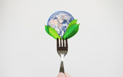 Sustainable Eating: Tips for Making More Eco-Friendly Food Choices